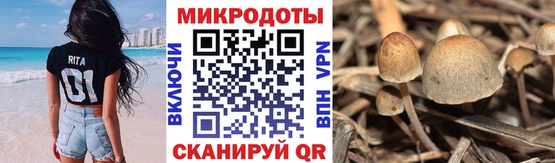 Псилоцибиновые грибы GOLDEN TEACHER Бабушкин